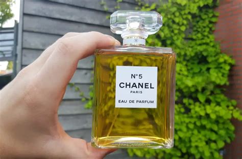 beste chanel parfum vrouwen